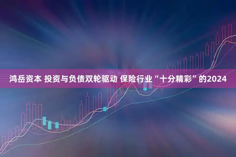 鸿岳资本 投资与负债双轮驱动 保险行业“十分精彩”的2024