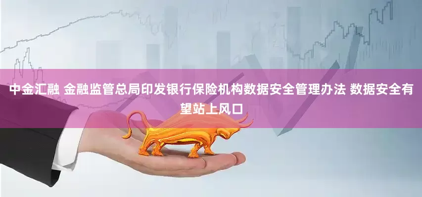 中金汇融 金融监管总局印发银行保险机构数据安全管理办法 数据安全有望站上风口
