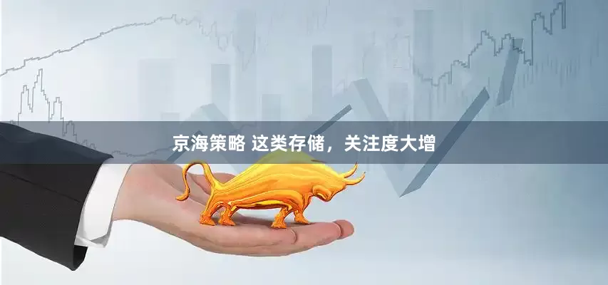京海策略 这类存储，关注度大增