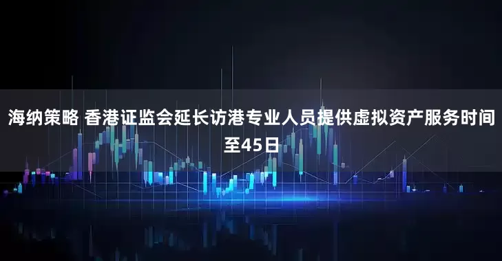 海纳策略 香港证监会延长访港专业人员提供虚拟资产服务时间至45日
