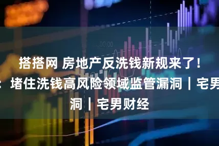 搭搭网 房地产反洗钱新规来了！专家：堵住洗钱高风险领域监管漏洞｜宅男财经