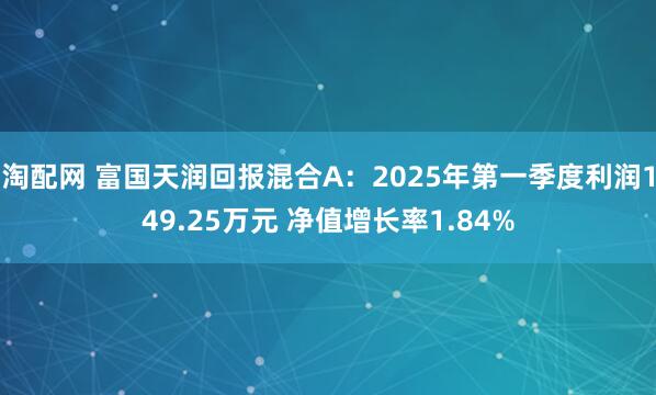 淘配网 富国天润回报混合A：2025年第一季度利润149.25万元 净值增长率1.84%