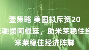 壹策略 美国拟斥资200亿美元驰援阿根廷，助米莱稳住经济阵脚
