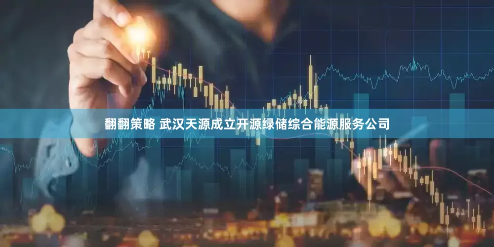翻翻策略 武汉天源成立开源绿储综合能源服务公司