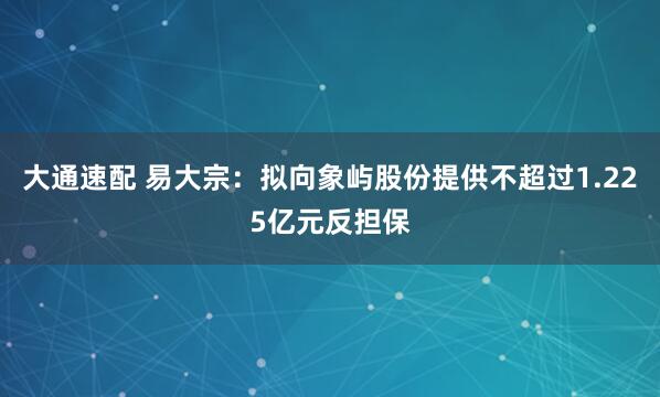 大通速配 易大宗：拟向象屿股份提供不超过1.225亿元反担保